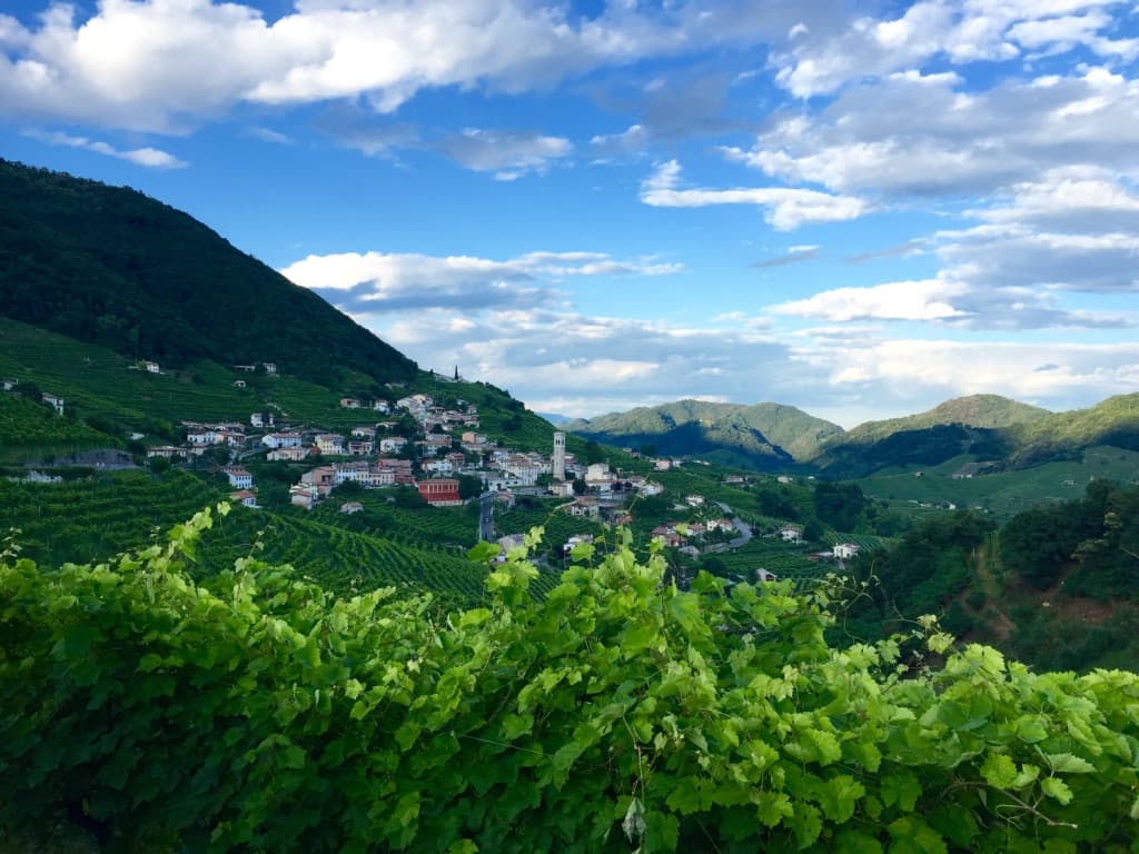 Colline del prosecco
