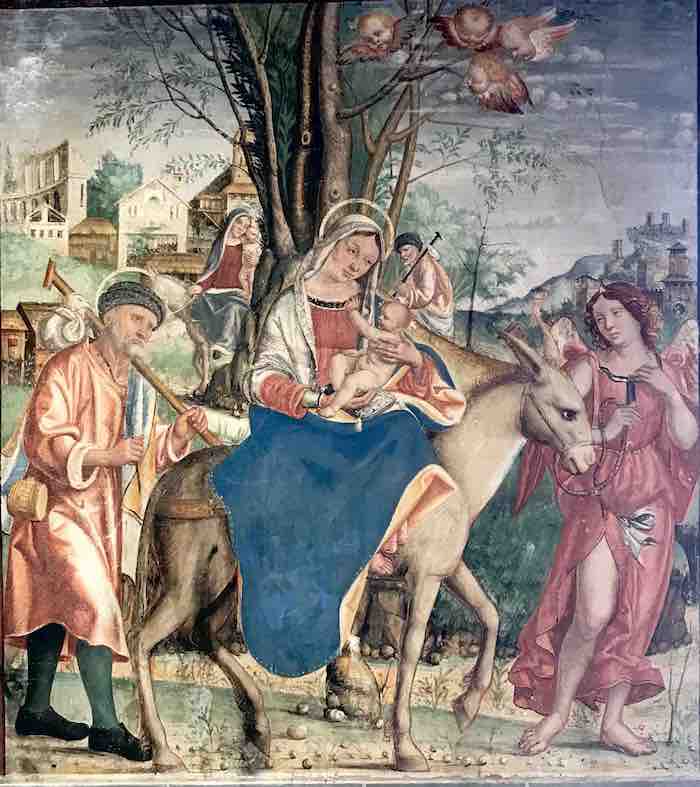 Visite guidate Conegliano Scuola dei Battuti